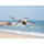 DJI Lito X1 Fly More Combo (RC 2) - 1517433 - zdjęcie 9